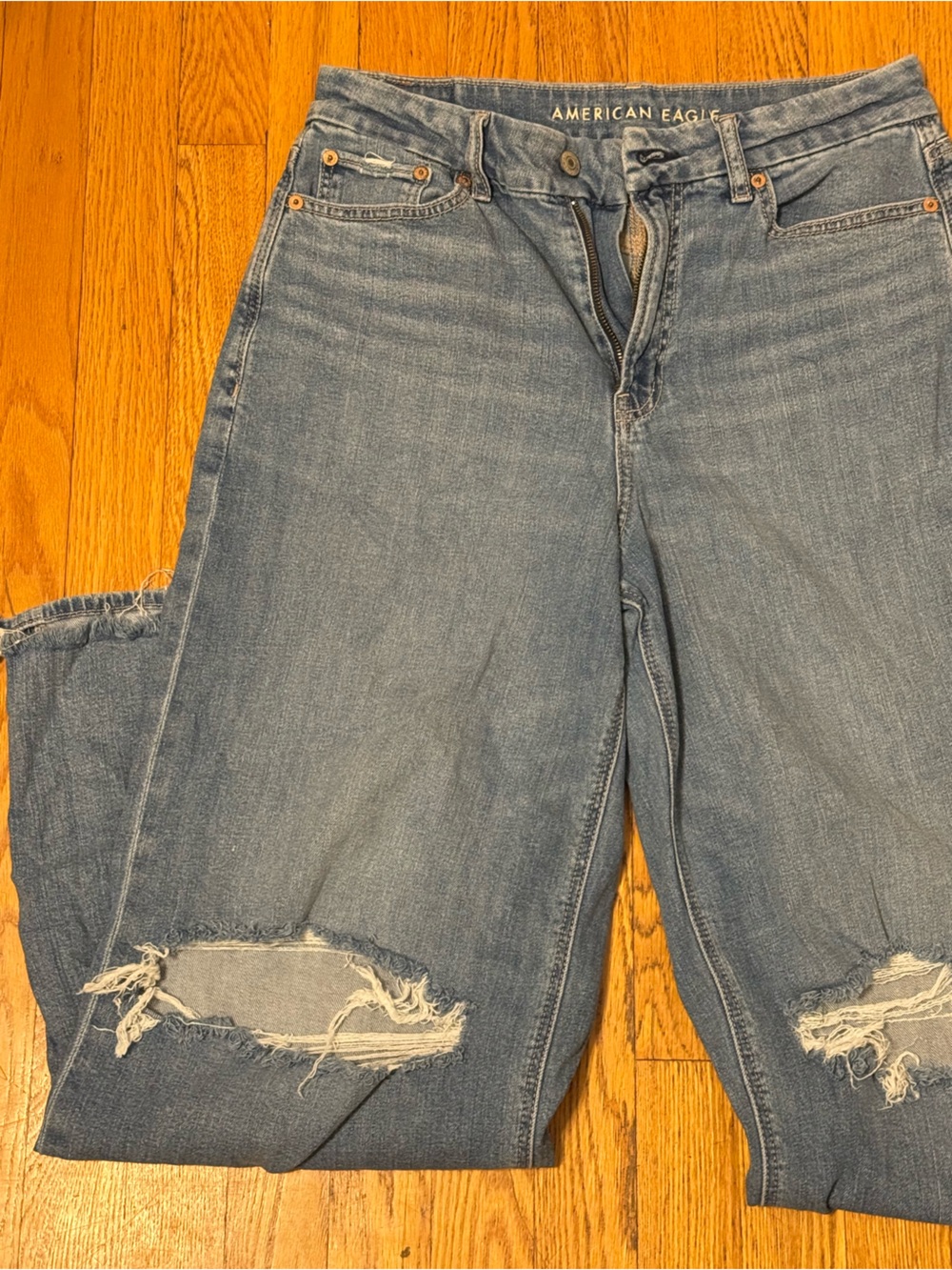 American Eagle Curvy High-Rise Baggy Wide Leg Jeans